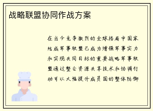 战略联盟协同作战方案